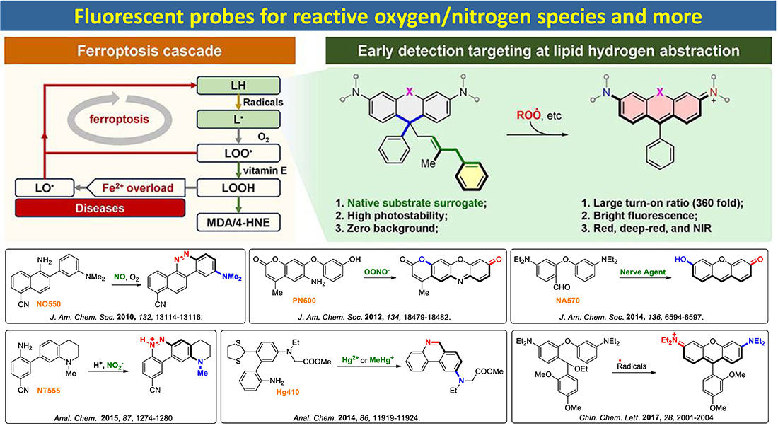 Redox probes